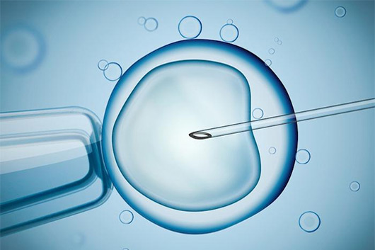 Self Egg and Self Sperm IVF Treatment in Delhi