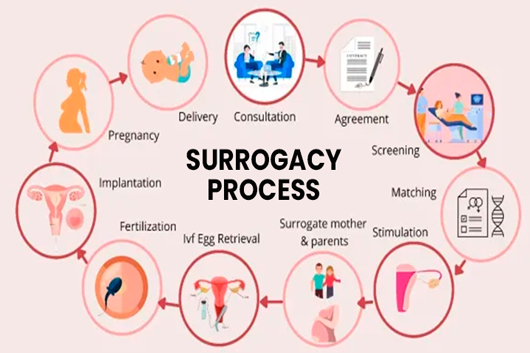 Guaranteed Surrogacy Process in India